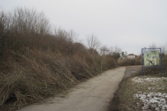 2013 - Arbeitseinsatz